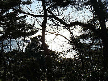 tsuji039_thumb.jpg