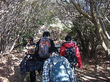 tsuji052_thumb.jpg