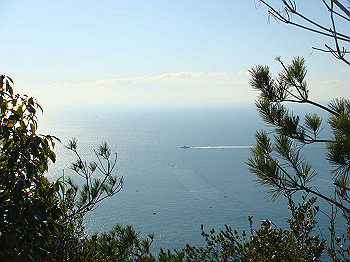 tsuji054_thumb.jpg