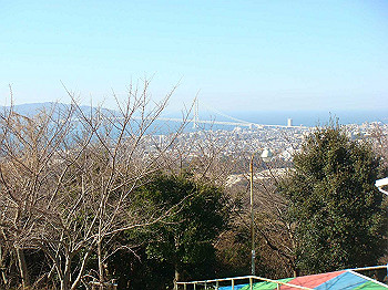 tsuji084_thumb.jpg