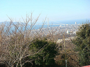 tsuji085_thumb.jpg