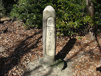 tsuji093_thumb.jpg
