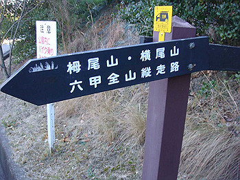 tsuji141_thumb.jpg