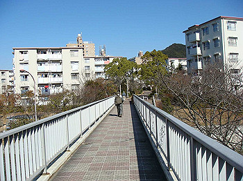 tsuji143_thumb.jpg