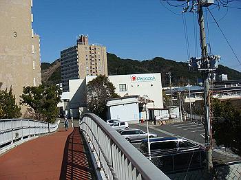 tsuji145_thumb.jpg