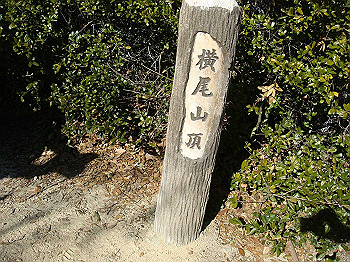 tsuji177_thumb.jpg