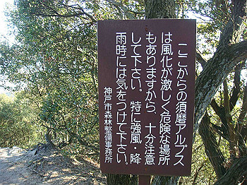 tsuji178_thumb.jpg