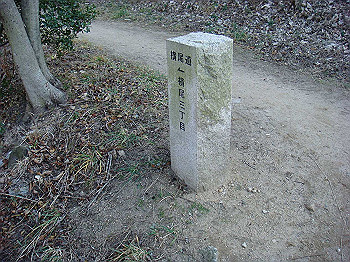 tsuji225_thumb.jpg