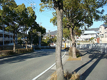 tsuji230_thumb.jpg