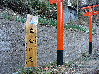 tsuji286_thumb.jpg