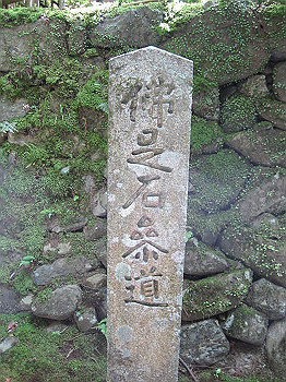 matsu037_thumb.jpg