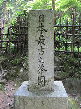 matsu041_thumb.jpg