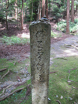matsu073_thumb.jpg