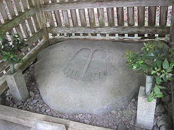 matsu075_thumb.jpg
