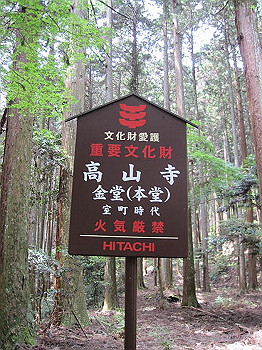 matsu082_thumb.jpg