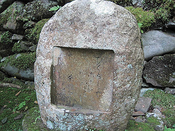 matsu091_thumb.jpg