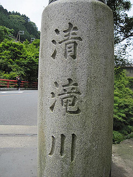 matsu101_thumb.jpg