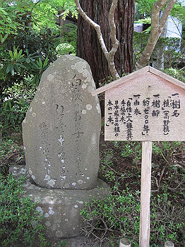 matsu148_thumb.jpg