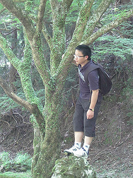 matsu258_thumb.jpg