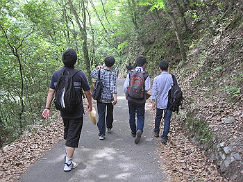 matsu275_thumb.jpg