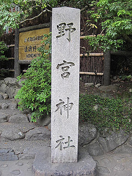 matsu357_thumb.jpg