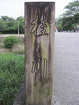 matsu391_thumb.jpg