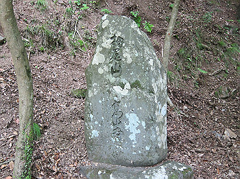 ri000027_thumb.jpg