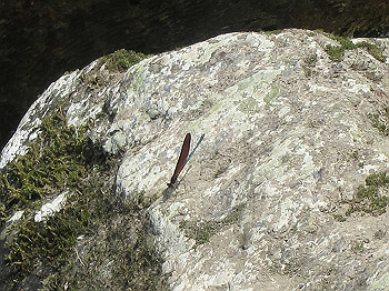 ri000075_thumb.jpg