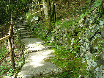 tsuji017_thumb.jpg