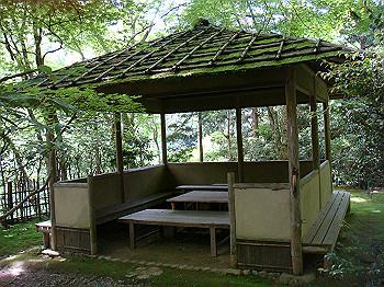 tsuji018_thumb.jpg