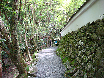 tsuji019_thumb.jpg