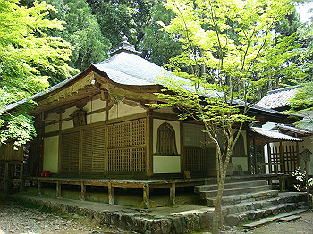 tsuji025_thumb.jpg