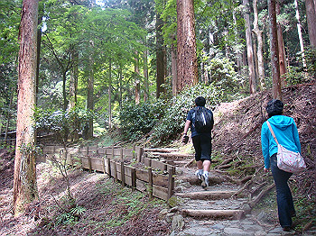 tsuji026_thumb.jpg