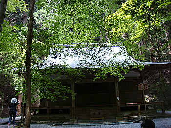 tsuji029_thumb.jpg