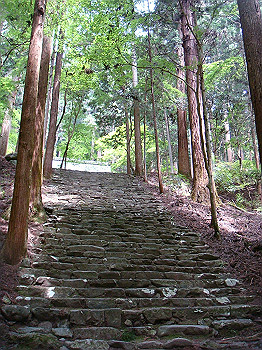 tsuji033_thumb.jpg