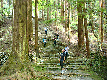 tsuji038_thumb.jpg