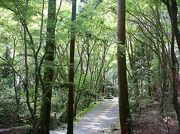 tsuji039_thumb.jpg