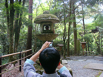 tsuji042_thumb.jpg