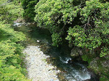 tsuji049_thumb.jpg