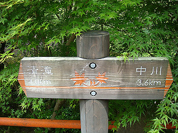 tsuji050_thumb.jpg