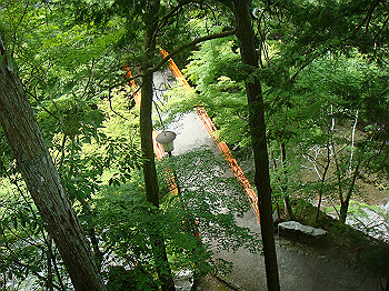 tsuji068_thumb.jpg