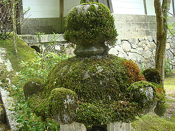 tsuji071_thumb.jpg