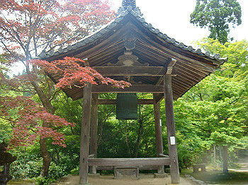 tsuji077_thumb.jpg