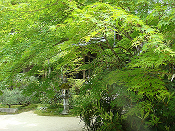 tsuji079_thumb.jpg