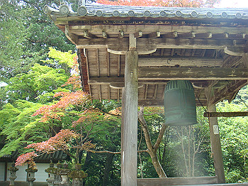 tsuji082_thumb.jpg