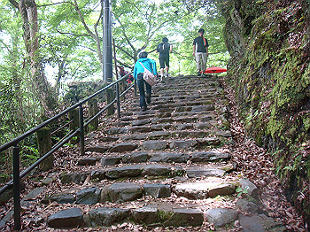 tsuji110_thumb.jpg
