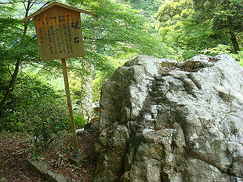 tsuji112_thumb.jpg
