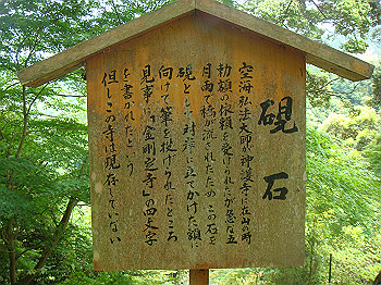 tsuji113_thumb.jpg