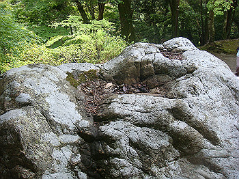 tsuji114_thumb.jpg