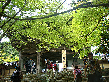 tsuji117_thumb.jpg
